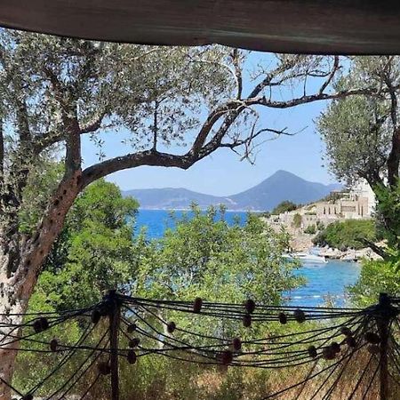 Apartmani Roganovic ルスティサ エクステリア 写真